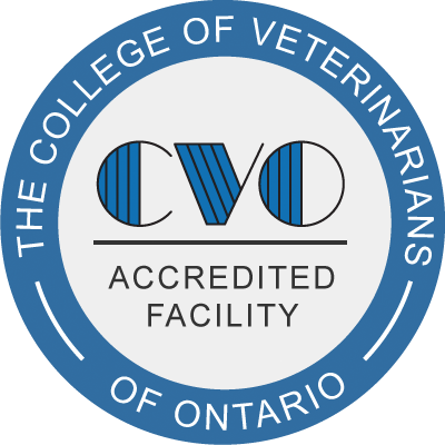 CVO Veterinary Bradford