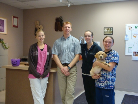 Dissette Animal Hospital, Bradford, Ontario.  Veterinarian.