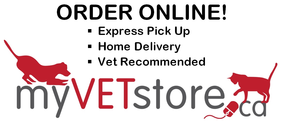 myVetStore Banner